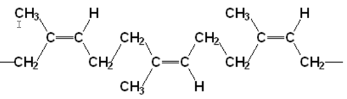 Sự trùng hợp isopren tạo ra cao su isopren có cấu trúc (ảnh 8)
