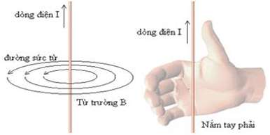 Từ trường của dòng điện chạy trong các dây dẫn có hình dạng đặc biệt (ảnh 3)