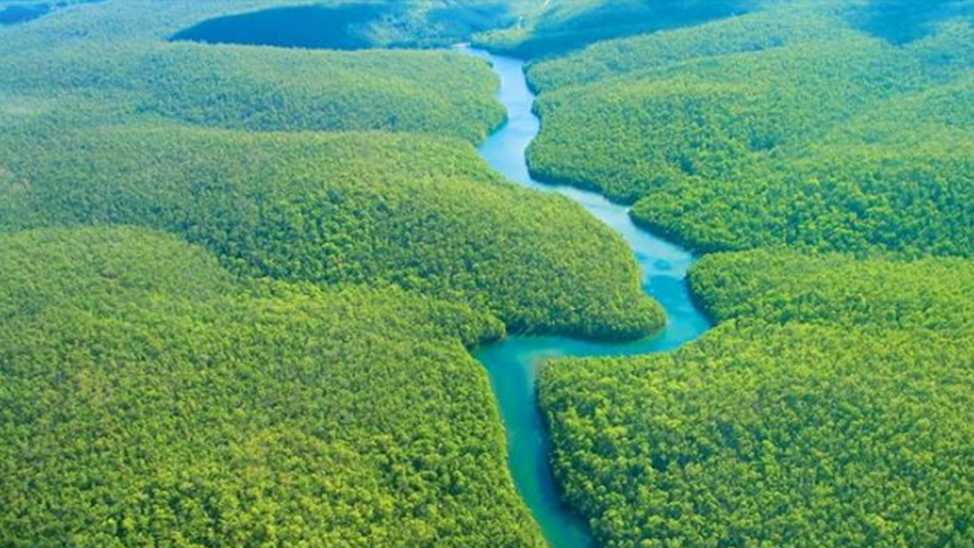 Vai trò của rừng amazon | Địa Lý 10 - Đại Học Kinh Doanh & Công Nghệ Hà Nội
