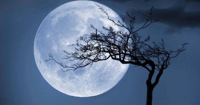 Vẻ đẹp tâm hồn của Bác qua bài thơ ngắm trăng