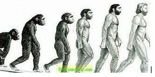 Vẽ sơ đồ quá trình tiến hóa của loài người dễ hiểu, cực hay (ảnh 5)