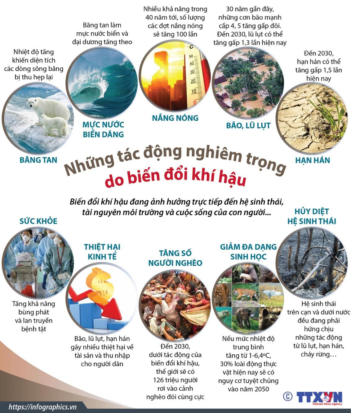  Vẽ sơ đồ thể hiện tác động của biến đổi khí hậu đến khí hậu và thuỷ văn Việt Nam