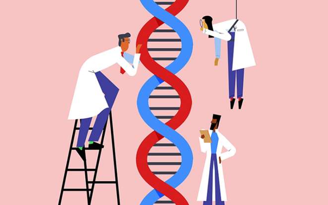 Vì sao ADN có tính đa dạng và đặc thù?