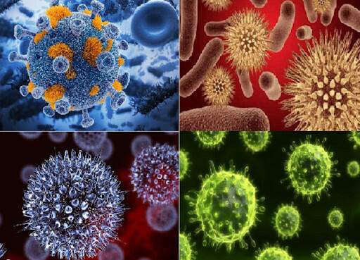 Vì sao các biến thể mới của virus nhiễm vào cơ thể thường rất nguy hiểm?