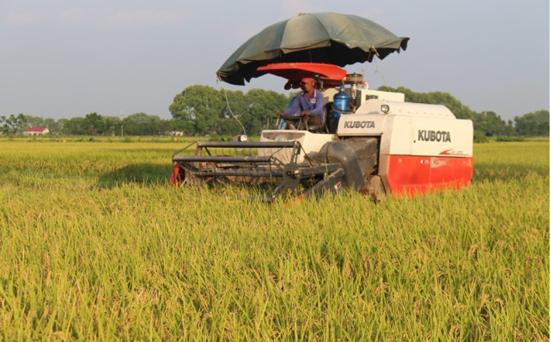 Vì sao ngành nông, lâm nghiệp và thuỷ sản của Hà Nội chỉ chiếm tỉ trọng nhỏ trong GRDP của thành phố?