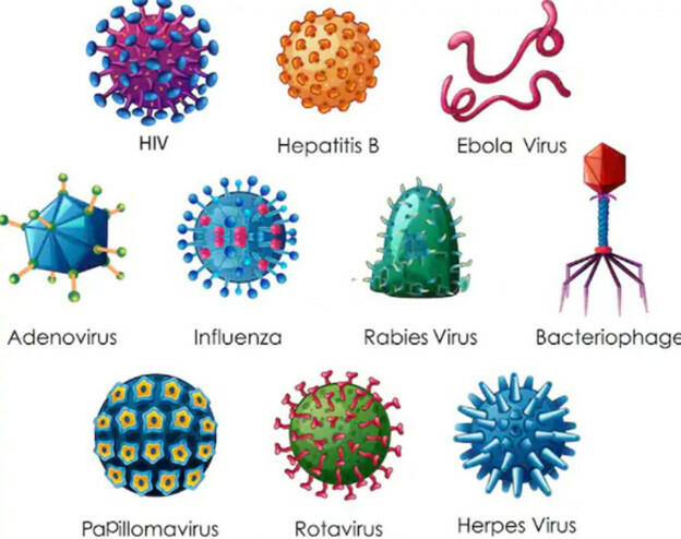 Vì sao virut phải kí sinh nội bào bắt buộc?