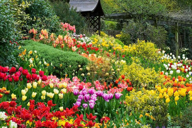 Viết đoạn văn 12-15 câu miêu tả vẻ đẹp của khu vườn mùa xuân