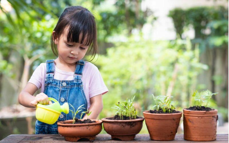 Viết đoạn văn về câu tục ngữ "Muốn ăn thì lăn vào bếp" thể hiện tính tự lập - Mẫu số 2