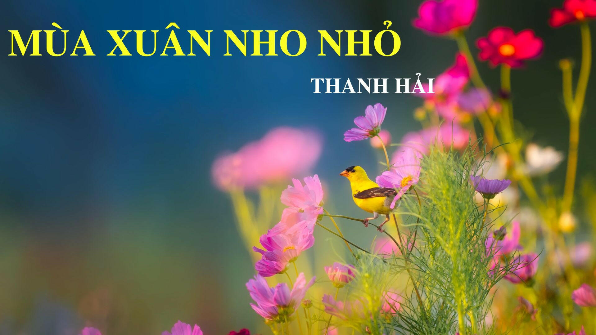 Viết một đoạn văn chia sẻ cảm nghĩ về một bài thơ tự do mà em yêu thích