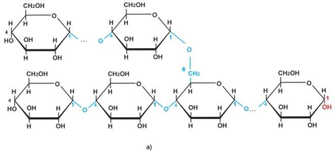 Viết phương trình hóa học xảy ra (nếu có) giữa các chất sau: Thủy phân sacarozơ, tinh bột và xenlulozơ (ảnh 5)