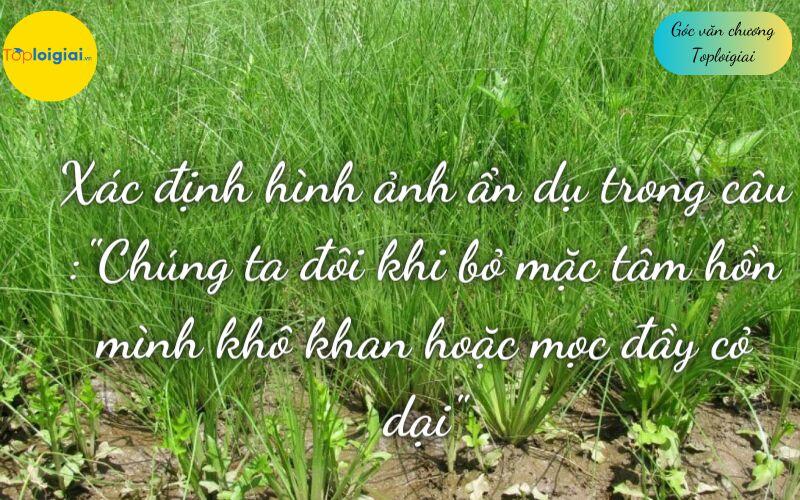 Xác định hình ảnh ẩn dụ trong câu :"Chúng ta đôi khi bỏ mặc tâm hồn mình khô khan hoặc mọc đầy cỏ dại". Nêu ý nghĩa của hình ảnh ẩn dụ