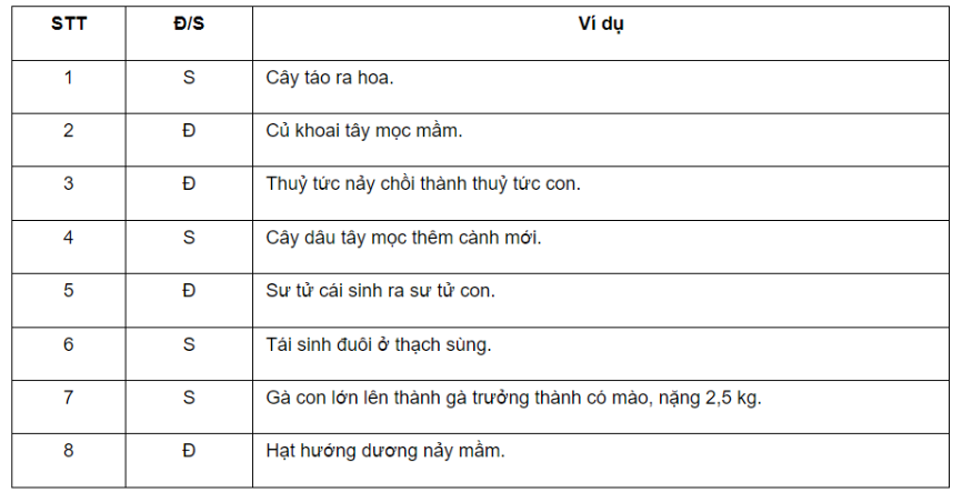 Câu 23.1 trang 78 SBT Sinh học 11: Xác định những ví dụ nào sau đây là sinh sản ở sinh vật bằng cách điền Đ (Đúng) hoặc S (Sai) vào cột tương ứng trong bảng sau.