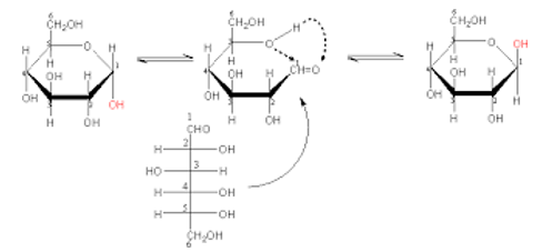 [ĐÚNG NHẤT] Xenlulozơ được cấu tạo bởi đơn phân là (ảnh 2)