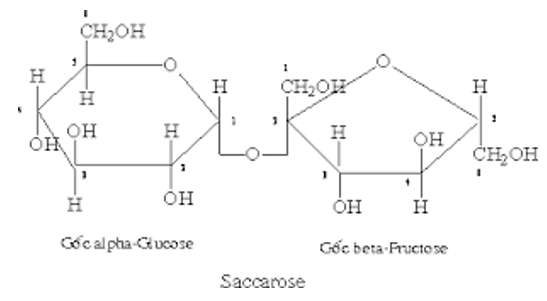 [ĐÚNG NHẤT] Xenlulozơ được cấu tạo bởi đơn phân là (ảnh 6)