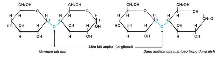 [ĐÚNG NHẤT] Xenlulozơ được cấu tạo bởi đơn phân là (ảnh 7)