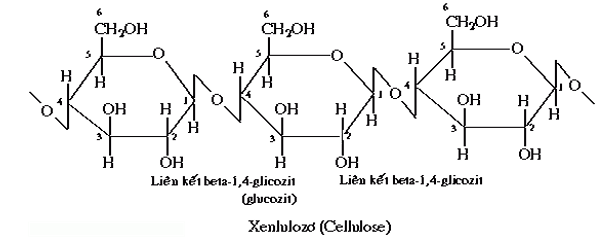 [ĐÚNG NHẤT] Xenlulozơ được cấu tạo bởi đơn phân là (ảnh 8)