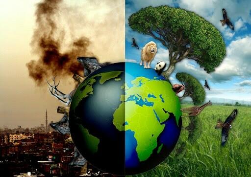 Ý kiến cho rằng: "Bảo vệ môi trường là vấn đề sống còn của nhân loại" có đúng không? Tại sao?