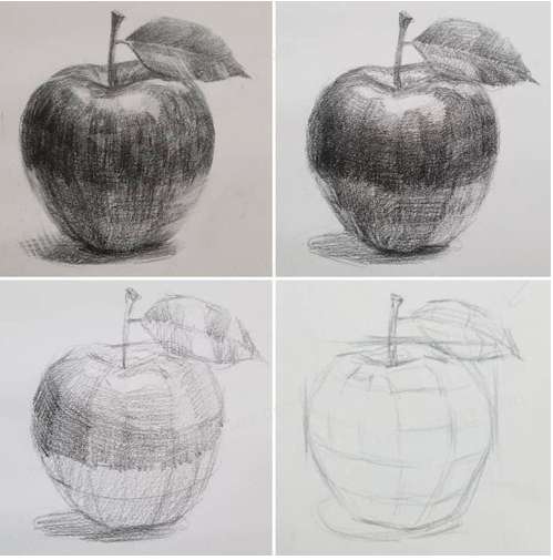 Soạn Mĩ thuật lớp 7 Bài 2: Vẽ theo mẫu – Cái cốc và quả (ảnh 2)
