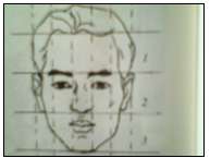 Soạn Mĩ thuật lớp 8 Bài 13: Giới thiệu tỉ lệ khuôn mặt người (ảnh 3)