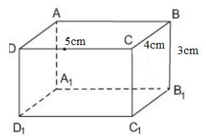 Giải Toán 8: Bài 3 trang 97 SGK Toán 8 tập 2 | Giải bài tập Toán 8