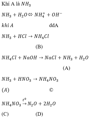 Giải bài tập Hóa học 11 nâng cao: Bài 5 trang 47 SGK Hóa học 11 nâng cao - 