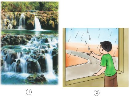 Bài 21. Ba thể của nước | Giải bài tập Khoa học lớp 4 (ảnh 1)