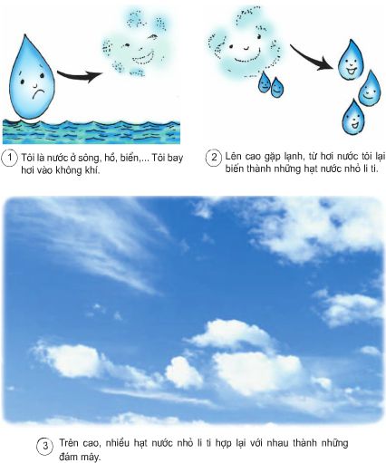 Bài 22. Mây được hình thành như thế nào? Mưa từ đâu ra? | Giải bài tập Khoa học lớp 4 (ảnh 1)