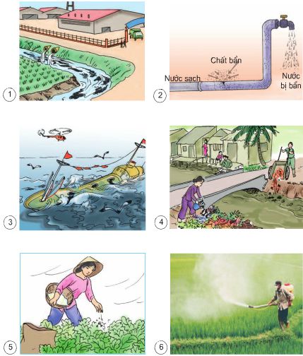 Bài 26. Nguyên nhân làm nước bị ô nhiễm | Giải bài tập Khoa học lớp 4 (ảnh 1)