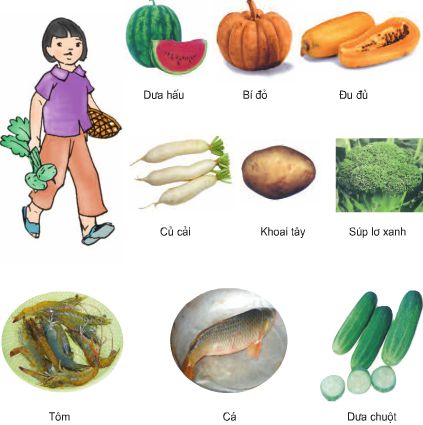 Bài 7. Tại sao cần ăn phối hợp nhiều loại thức ăn? | Giải bài tập Khoa học lớp 4 (ảnh 1)