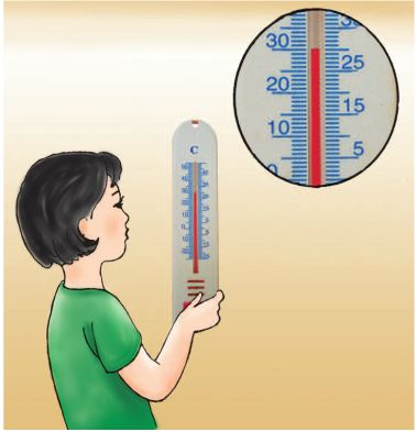 Bài 50. Nóng, lạnh và nhiệt độ | Giải bài tập Khoa học lớp 4 (ảnh 2)