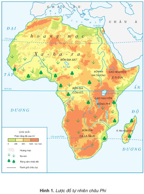 Bài 23. Châu Phi | Giải bài tập Địa lí lớp 5