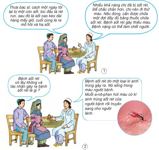 Bài 12. Phòng bệnh sốt rét | Giải bài tập Khoa học lớp 5
