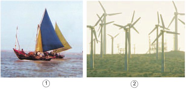 Bài 44. Sử dụng năng lượng gió và năng lượng nước chảy | Giải bài tập Khoa học lớp 5
