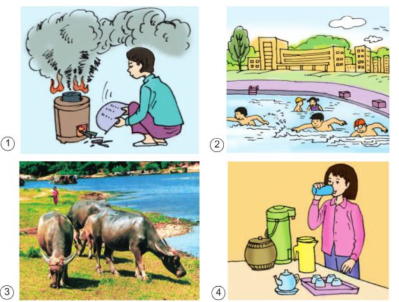 Bài 64. Vai trò của môi trường tự nhiên đối với đời sống con người | Giải bài tập Khoa học lớp 5
