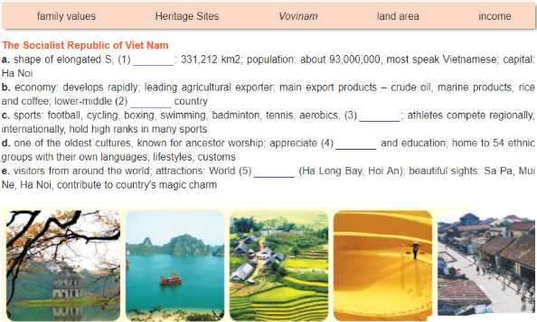 Soạn Anh 11: Unit 5. Skills | Giải Anh 11 mới - TopLoigiai 