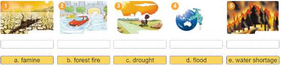Soạn Anh 11: Unit 6. Skills | Giải Anh 11 mới - TopLoigiai 