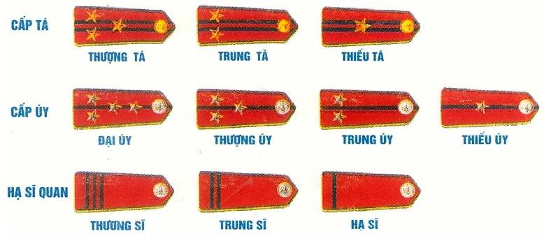 Soạn Giáo dục Quốc phòng 12: Bài 3. Tổ chức Quân đội và Công an nhân dân Việt Nam (ảnh 3)
