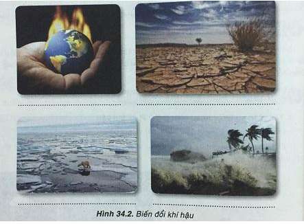 Khoa học tự nhiên 8 VNEN Bài 34: Biến đổi khí hậu, nguyên nhân và biểu hiện (ảnh 2)