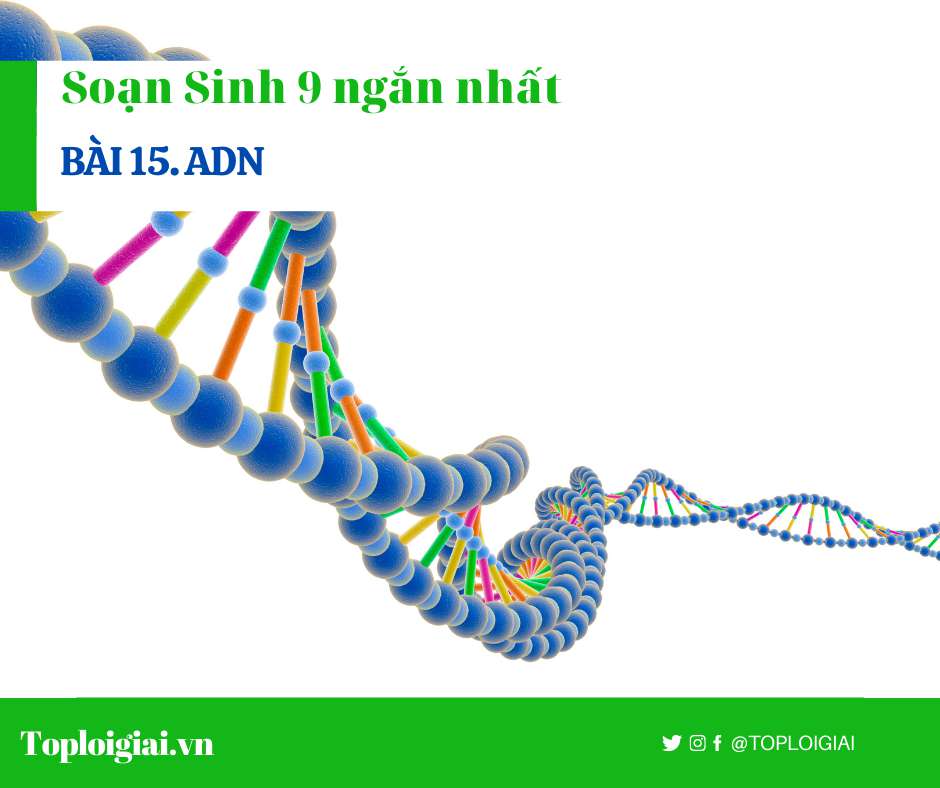 Soạn sinh 9 Bài 15 ngắn nhất: ADN