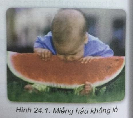 Soạn Sinh 9 VNEN Bài 24: Đột biến số lượng nhiễm sắc thể