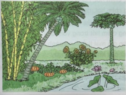 Soạn Tiếng Việt 3 VNEN Bài 31C: Trồng cây cho trái đất mãi xanh tươi – TopLoigiai