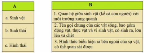 Soạn Tiếng Việt 5 VNEN Bài 12A: Hương sắc rừng xanh – TopLoigiai (ảnh 2)