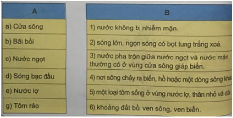 Soạn Tiếng Việt 5 VNEN Bài 25B: Không quên cội nguồn – TopLoigiai (ảnh 2)
