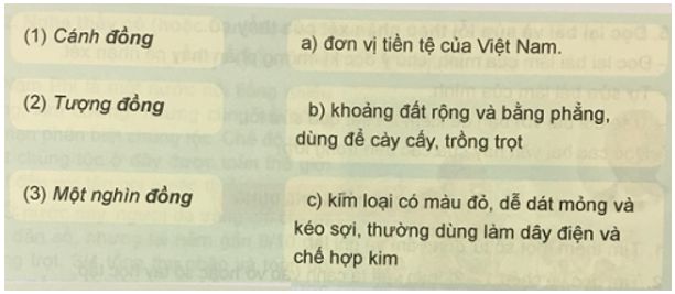 Soạn Tiếng Việt 5 VNEN Bài 5C: Tìm hiểu về từ đồng âm – TopLoigiai