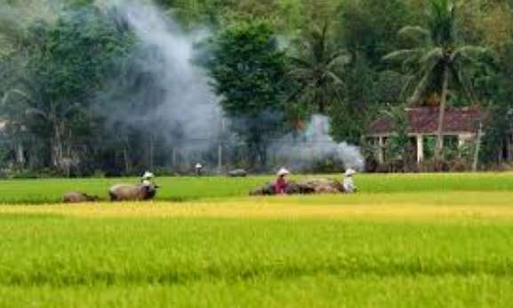 Soạn bài Nhớ đồng nâng cao
hay nhất – Soạn văn 11