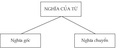 Soạn bài: Ôn tập Tiếng Việt (siêu ngắn) | Soạn văn 6 siêu ngắn - TopLoigiai (ảnh 2)