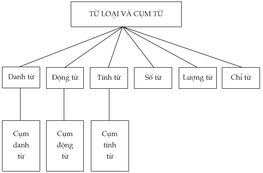 Soạn bài: Ôn tập Tiếng Việt (siêu ngắn) | Soạn văn 6 siêu ngắn - TopLoigiai (ảnh 5)