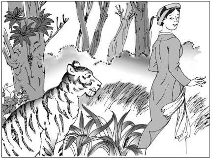 Soạn văn 6: Con hổ có nghĩa | Soạn văn lớp 6 chi tiết