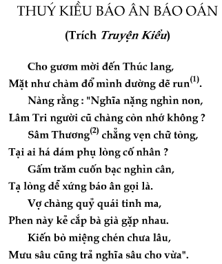 Đoạn trích: Thuý kiều báo ân báo oán - Toploigiai