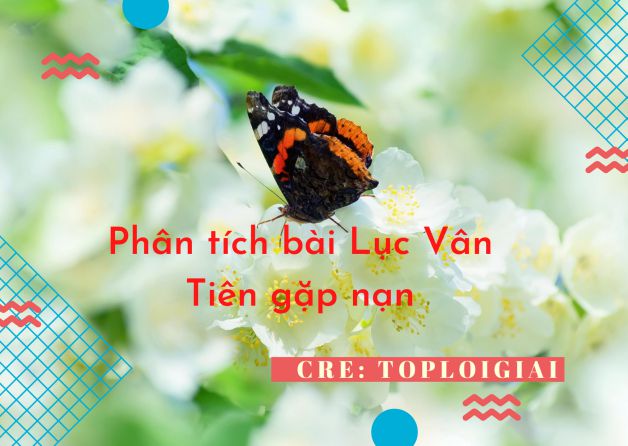 Dàn ý phân tích bài Lục Vân Tiên gặp nạn - Toploigiai